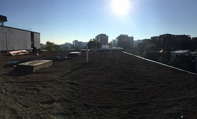 green roof installation in dc